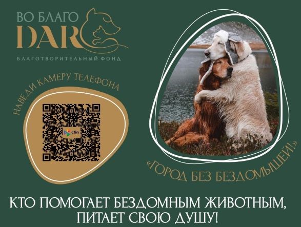 campaign__item